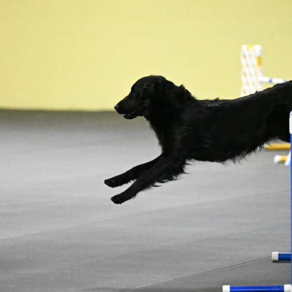 Apollo-Everhart-06927