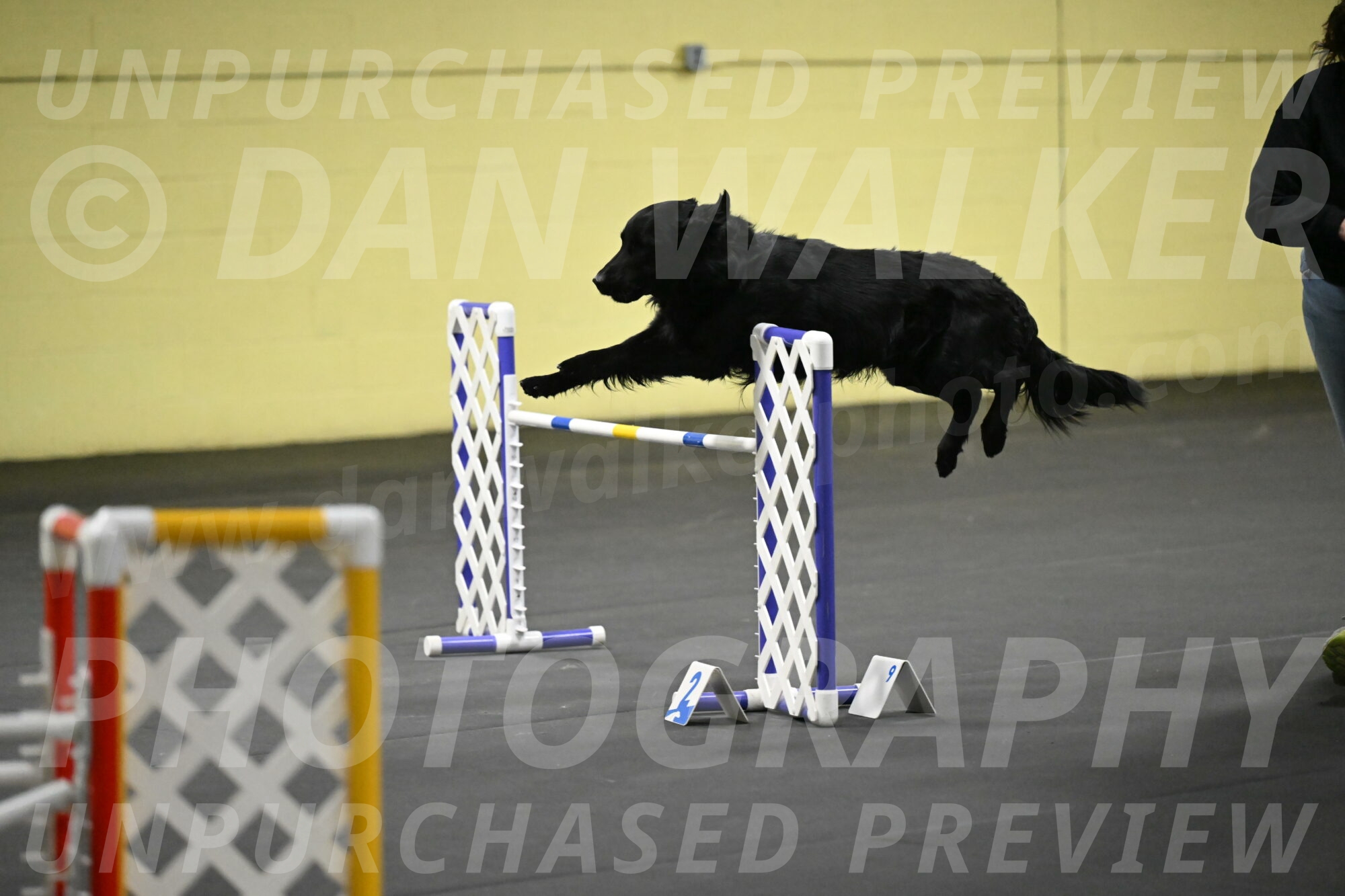 Apollo-Everhart-06930