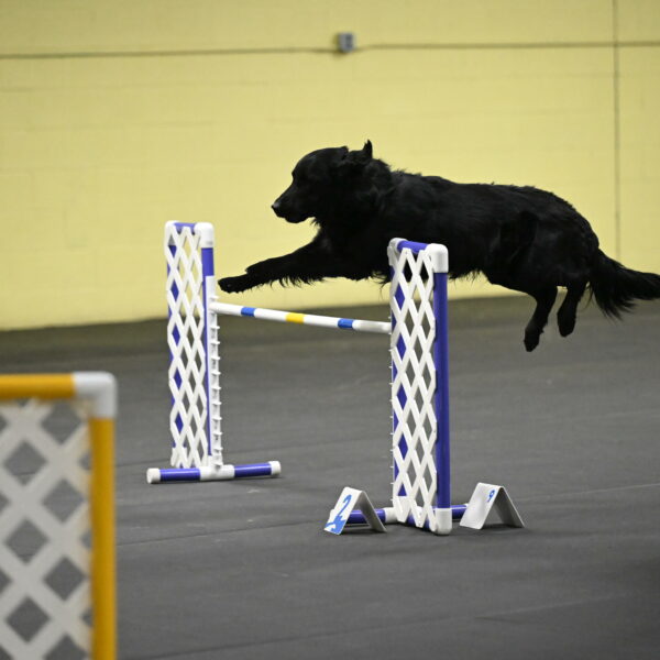 Apollo-Everhart-06930