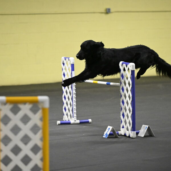 Apollo-Everhart-06931