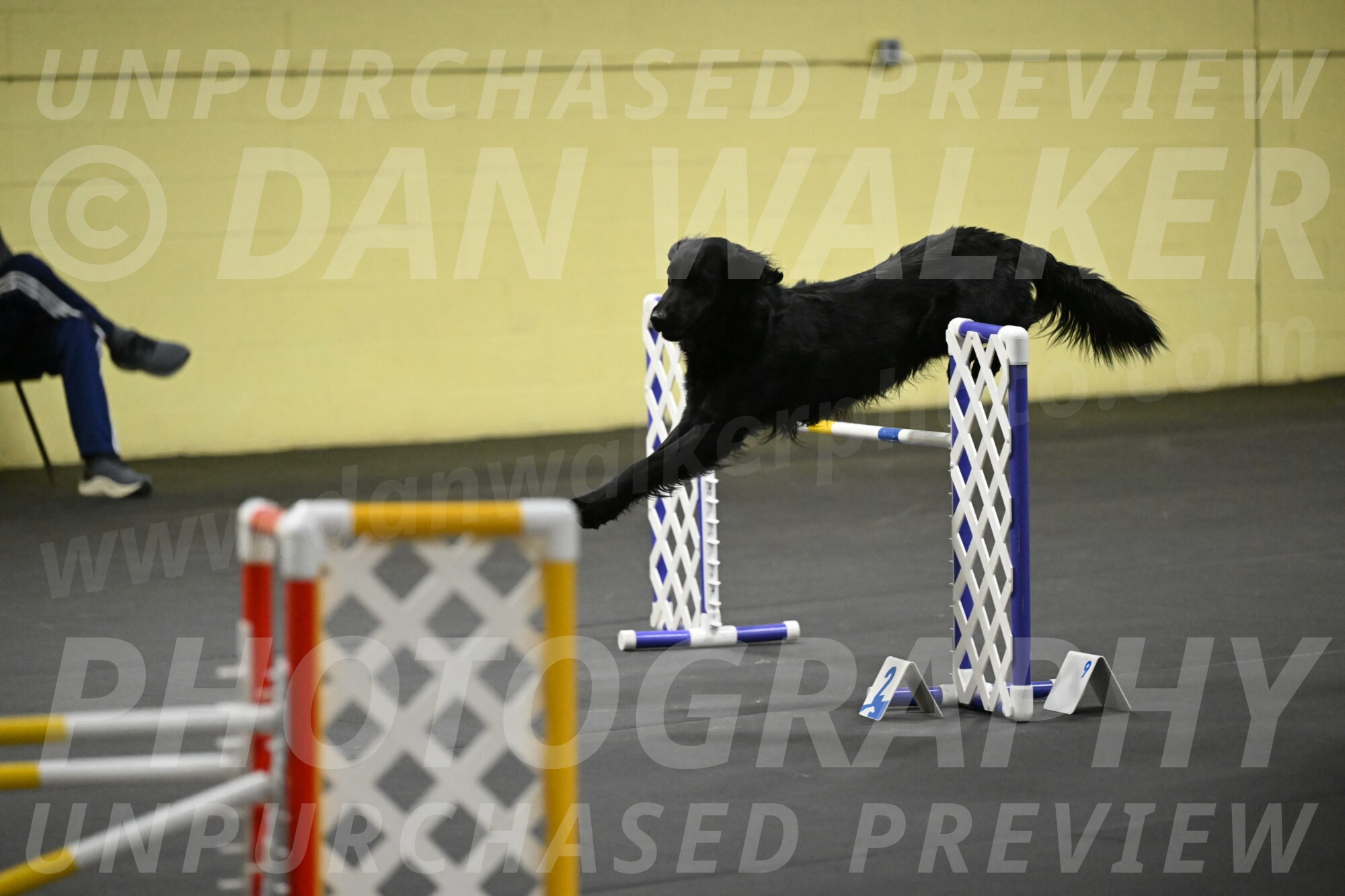 Apollo-Everhart-06932