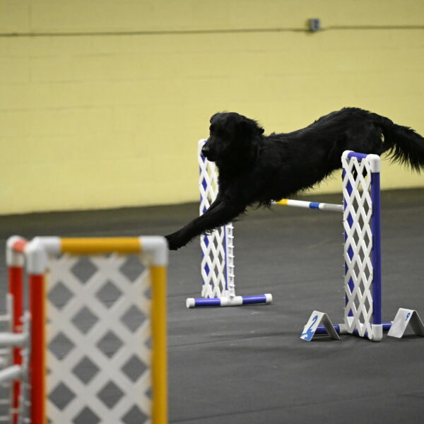 Apollo-Everhart-06932