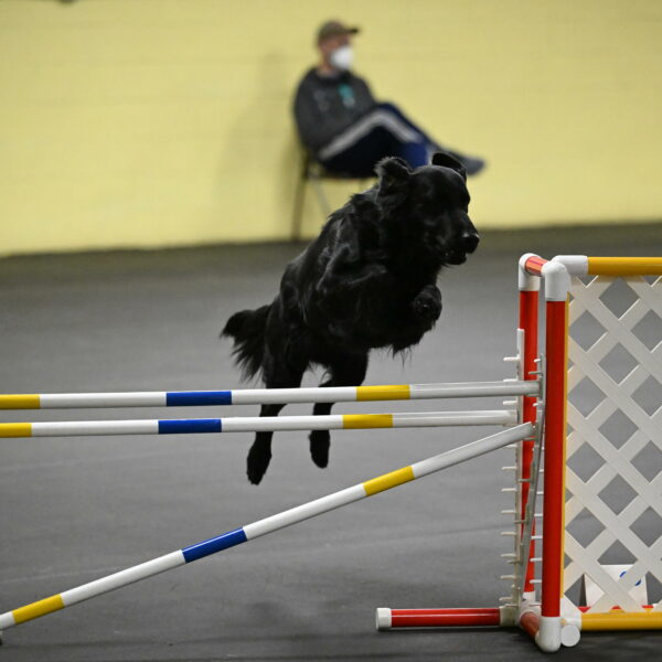 Apollo-Everhart-06934