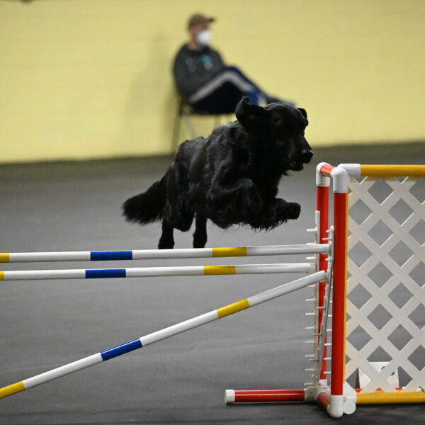 Apollo-Everhart-06935