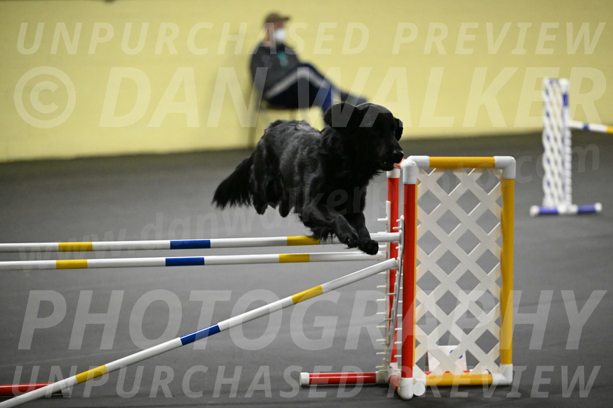 Apollo-Everhart-06936