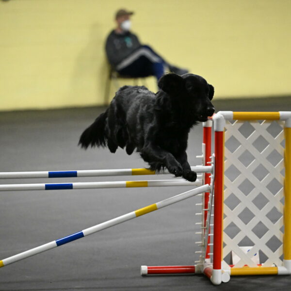 Apollo-Everhart-06936