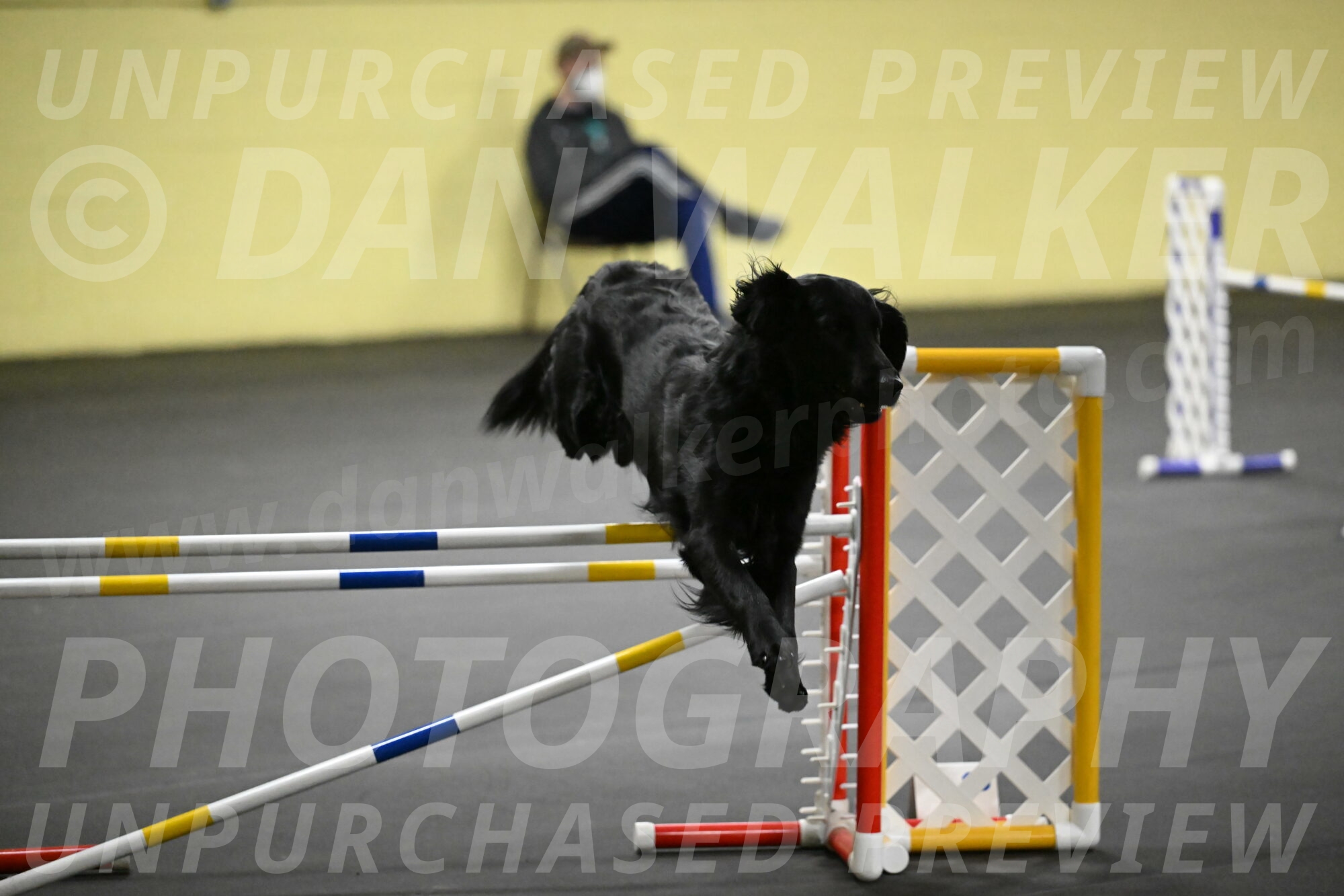 Apollo-Everhart-06937