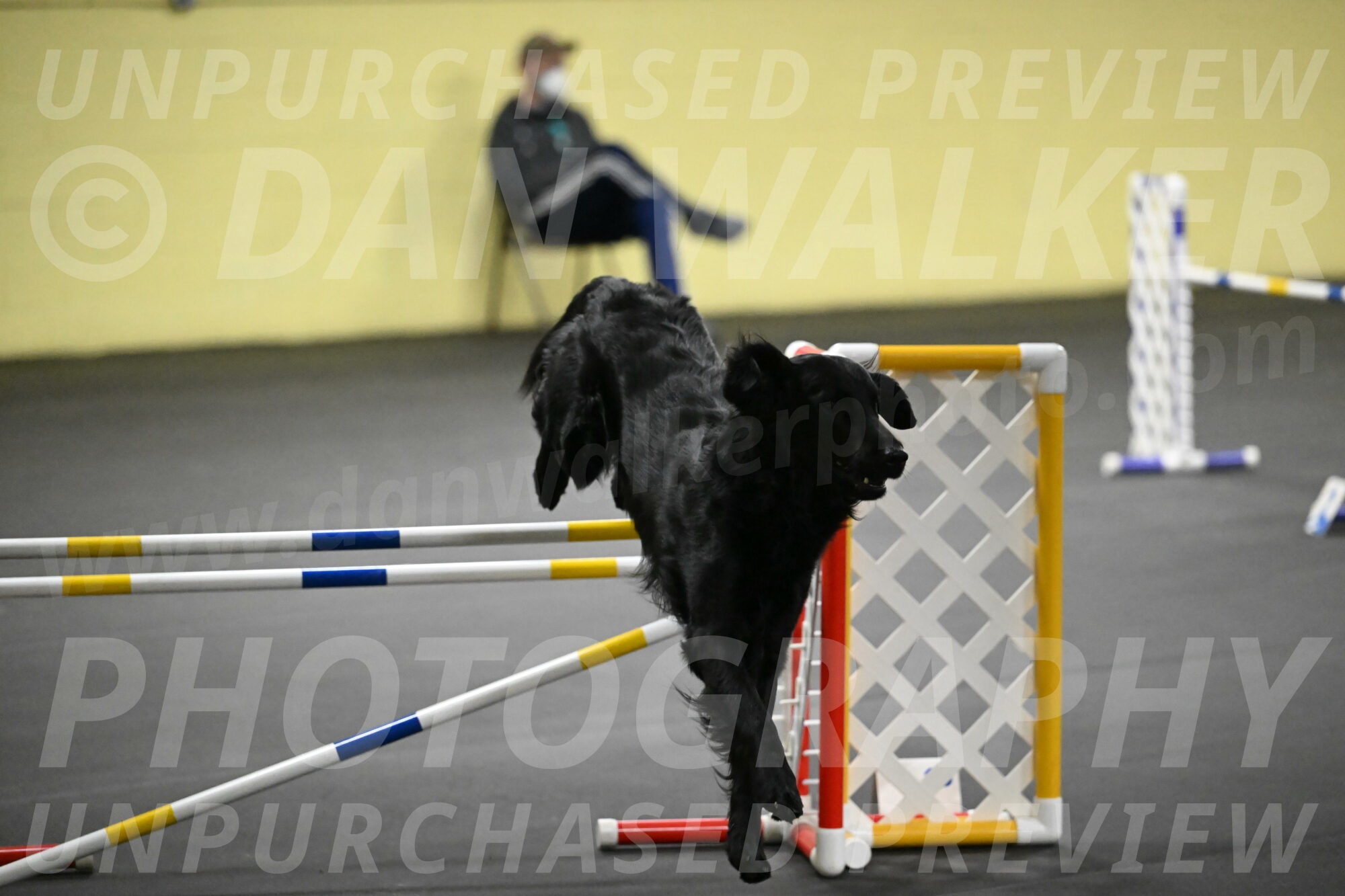 Apollo-Everhart-06938