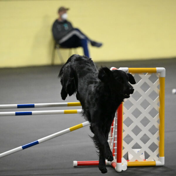 Apollo-Everhart-06938