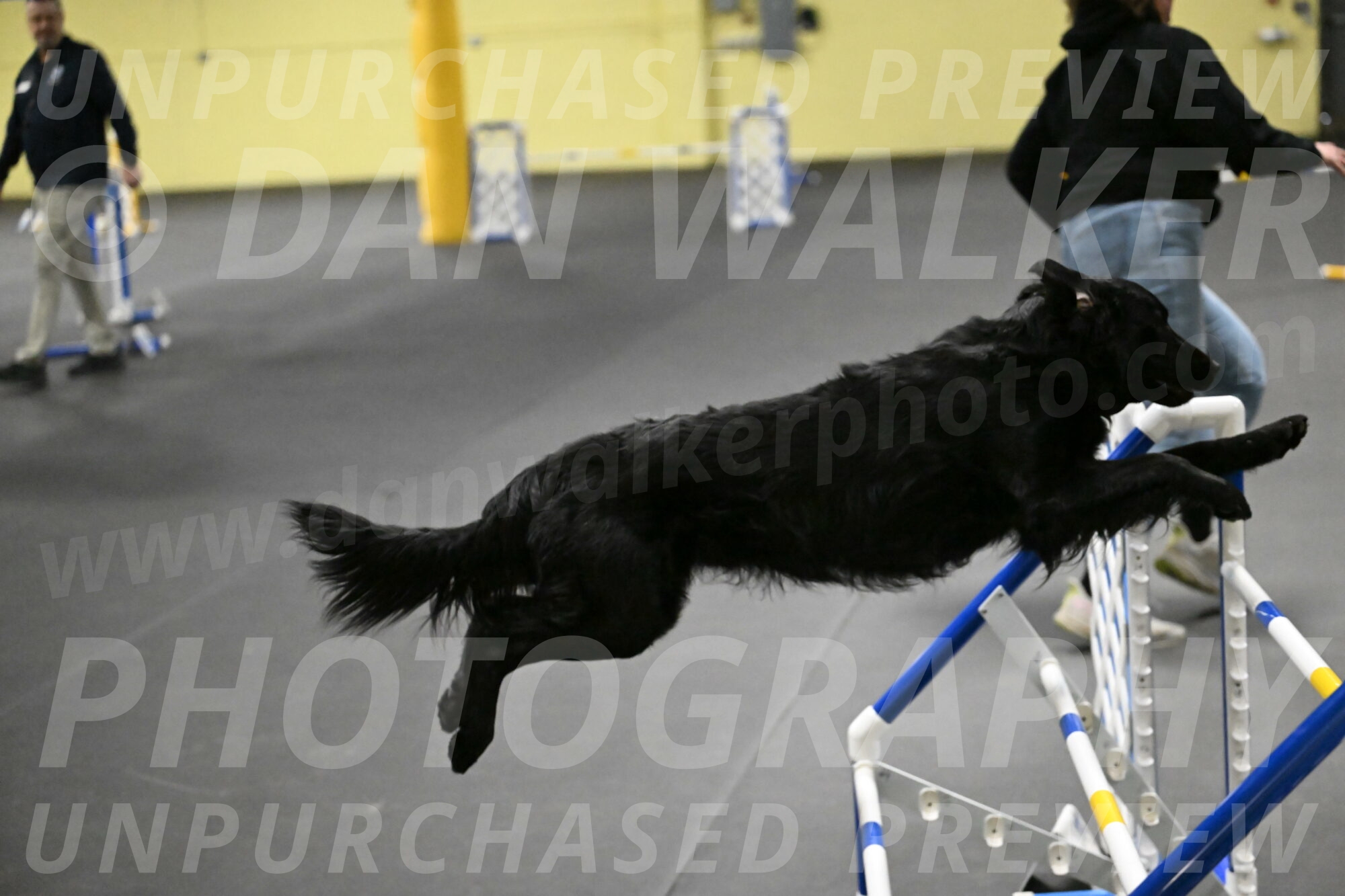 Apollo-Everhart-06943