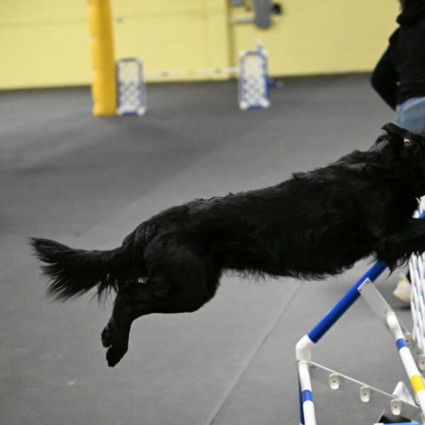 Apollo-Everhart-06943