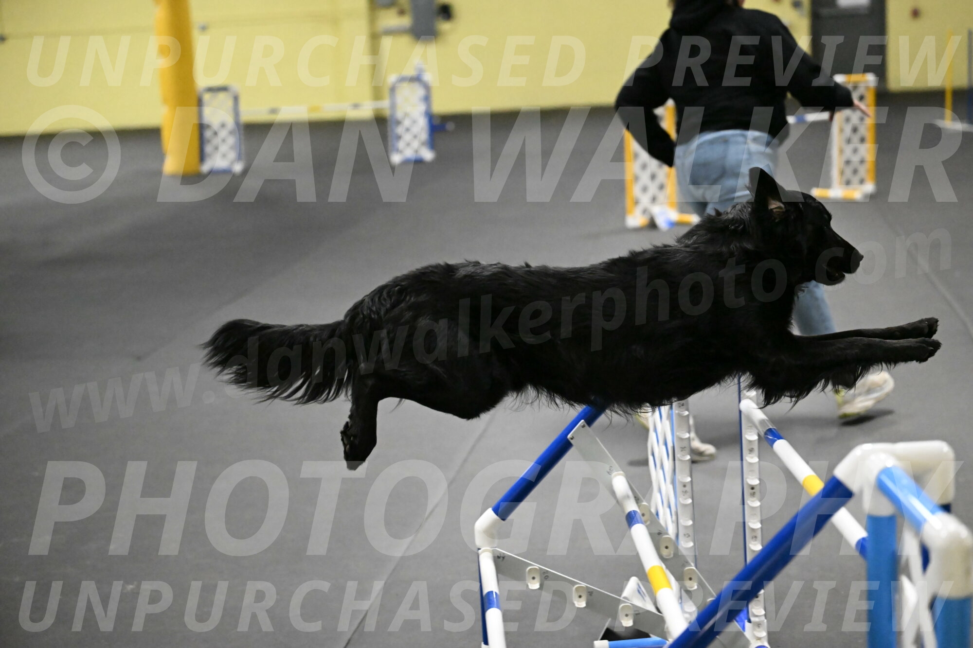 Apollo-Everhart-06944