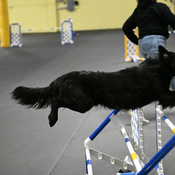 Apollo-Everhart-06944