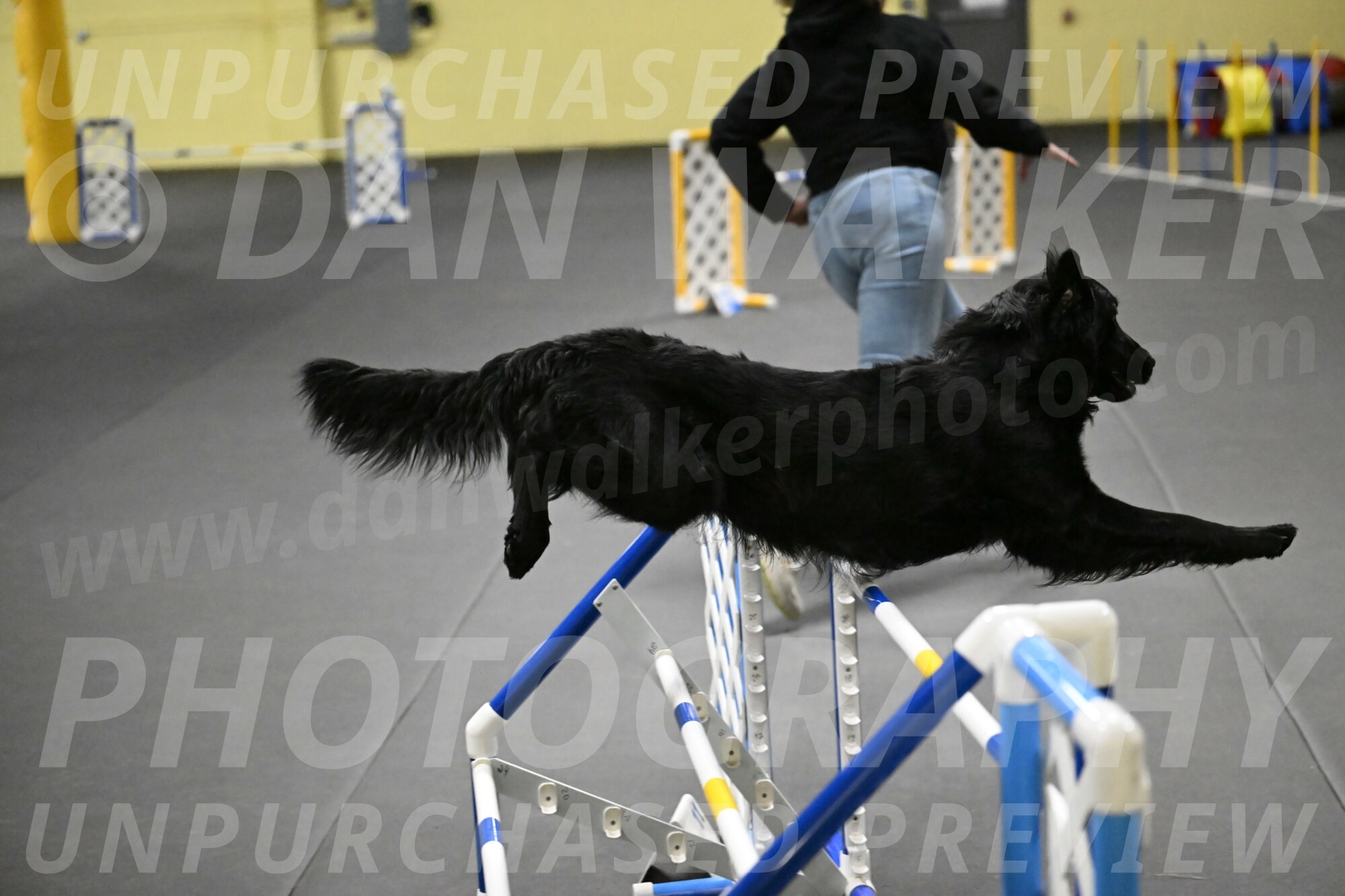 Apollo-Everhart-06945