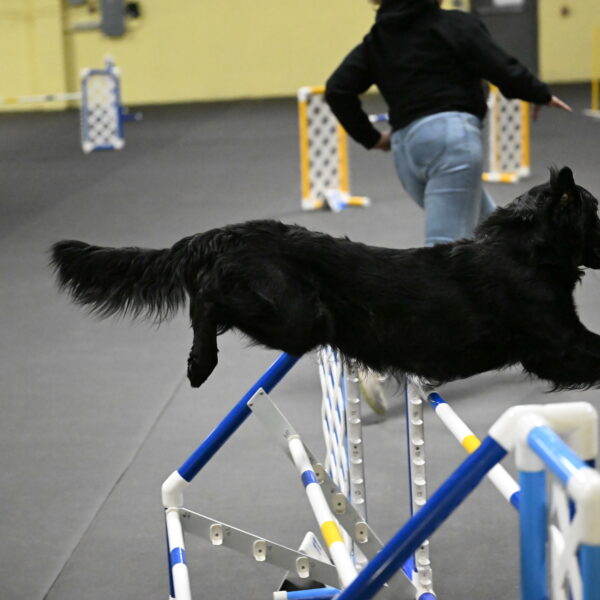 Apollo-Everhart-06945