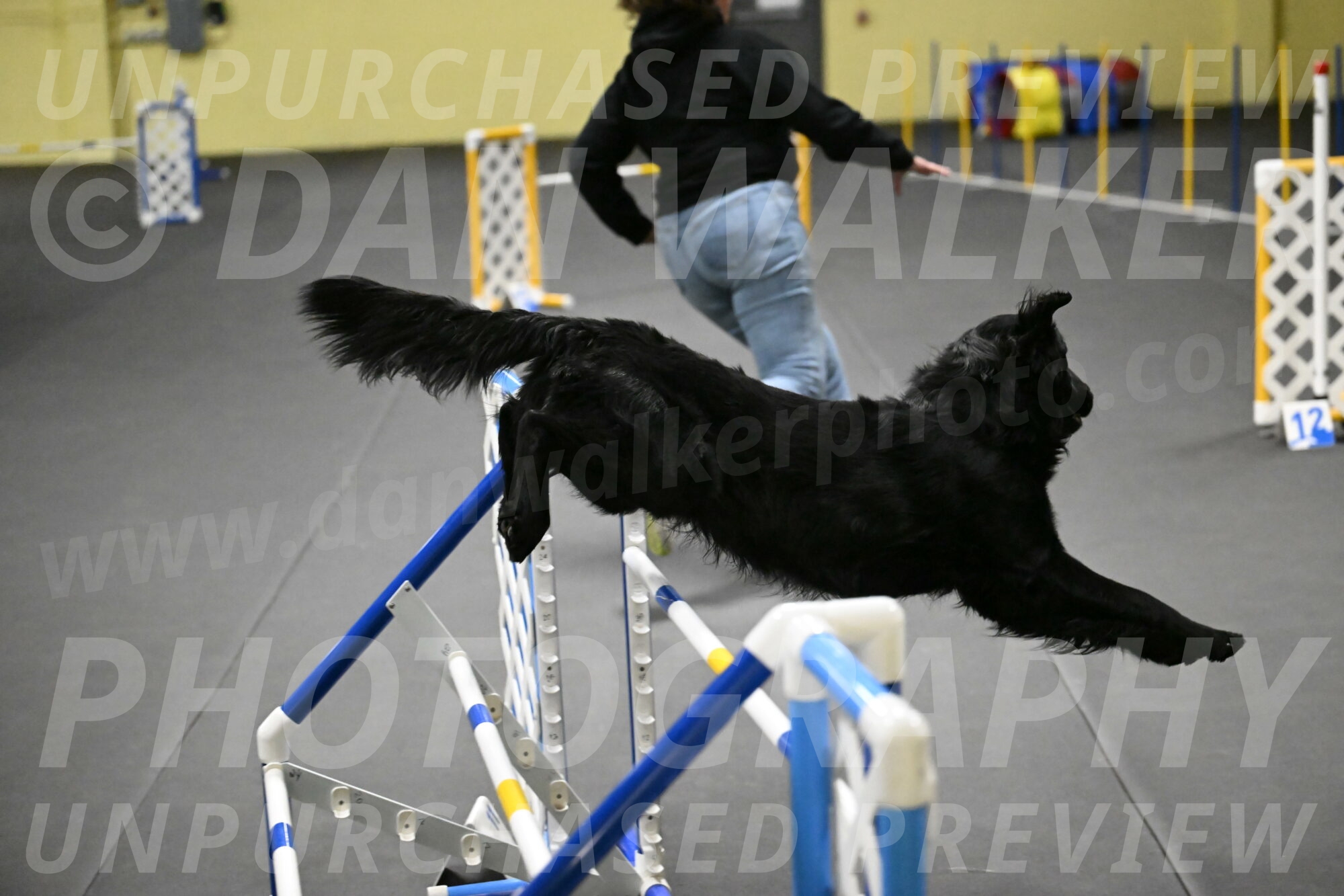 Apollo-Everhart-06946