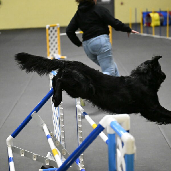 Apollo-Everhart-06946