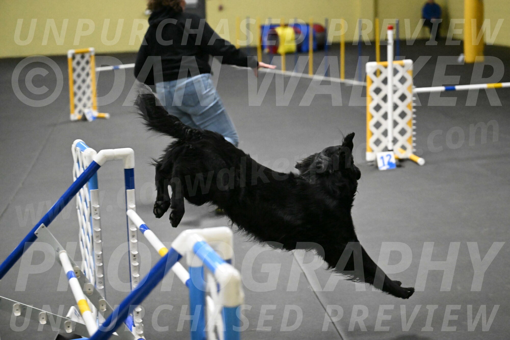 Apollo-Everhart-06947