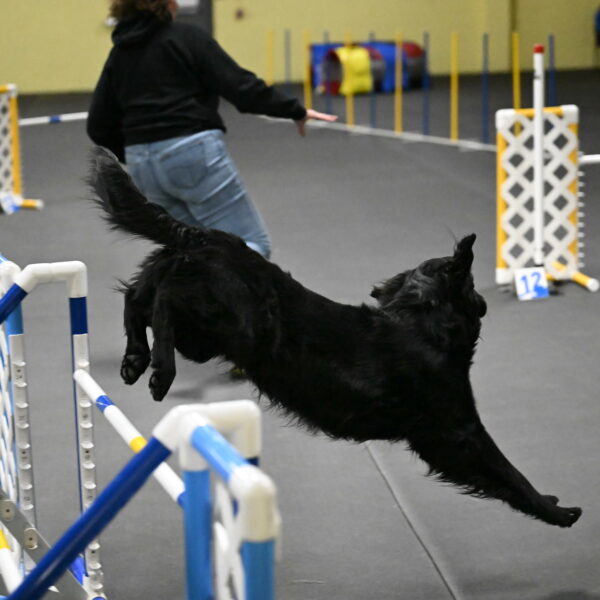 Apollo-Everhart-06947