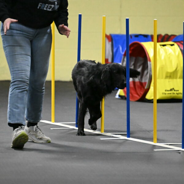 Apollo-Everhart-06950