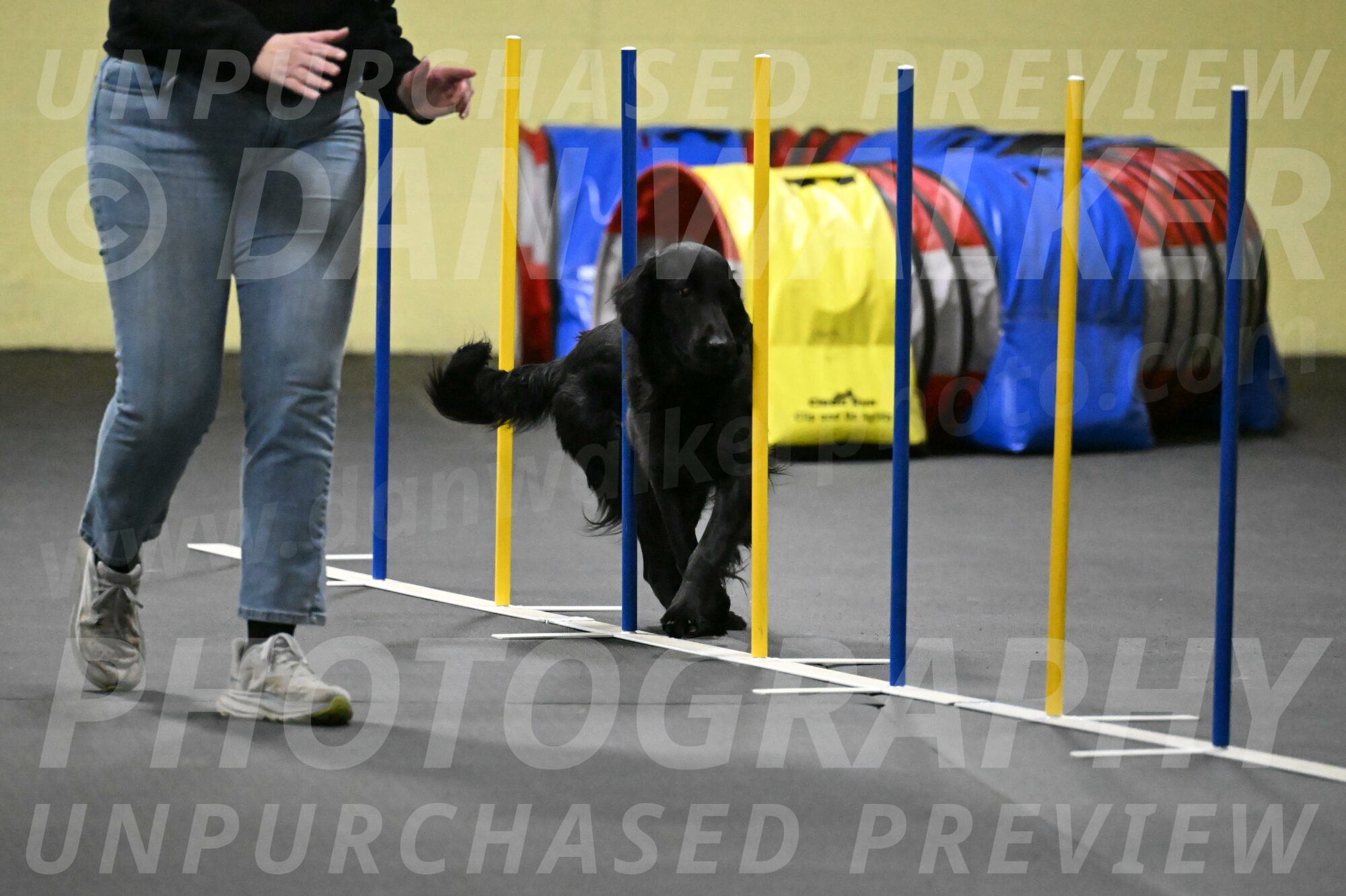 Apollo-Everhart-06955