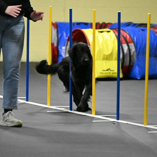 Apollo-Everhart-06955