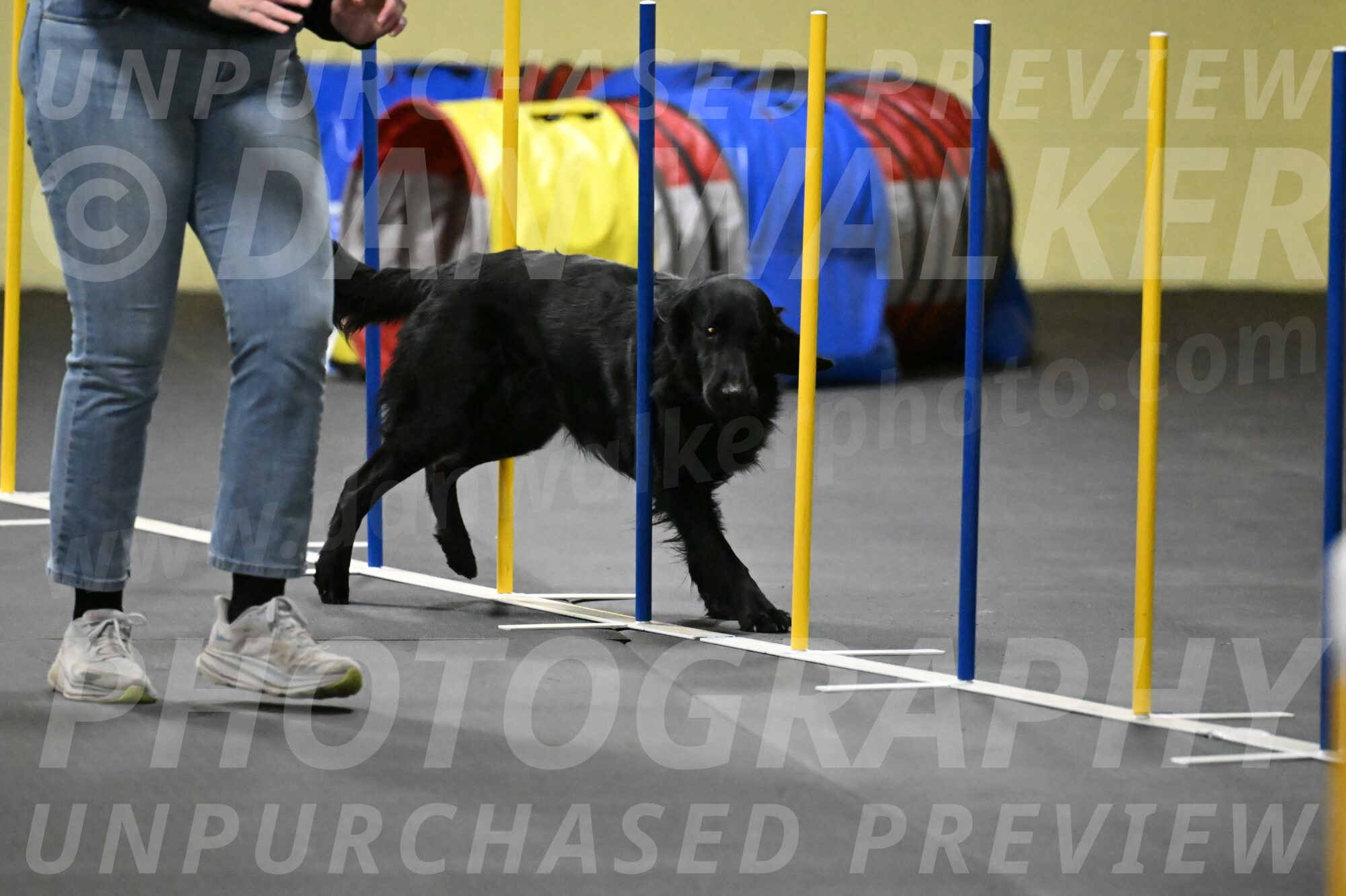 Apollo-Everhart-06962