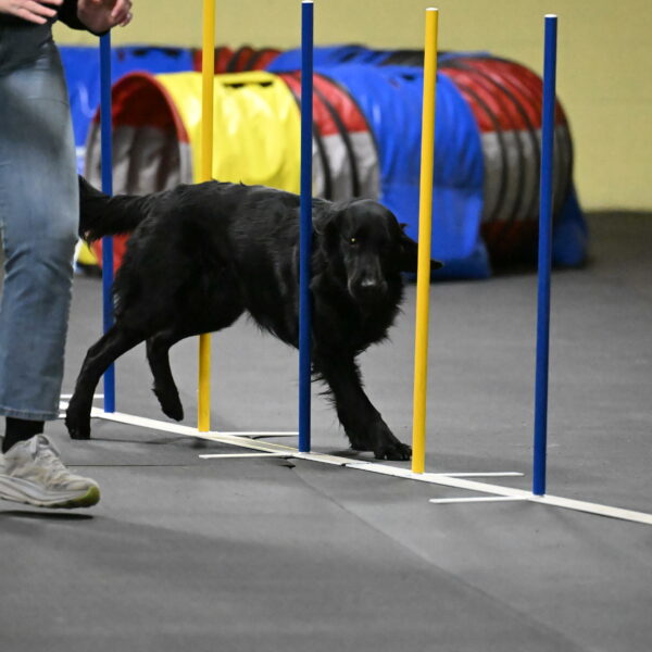 Apollo-Everhart-06962