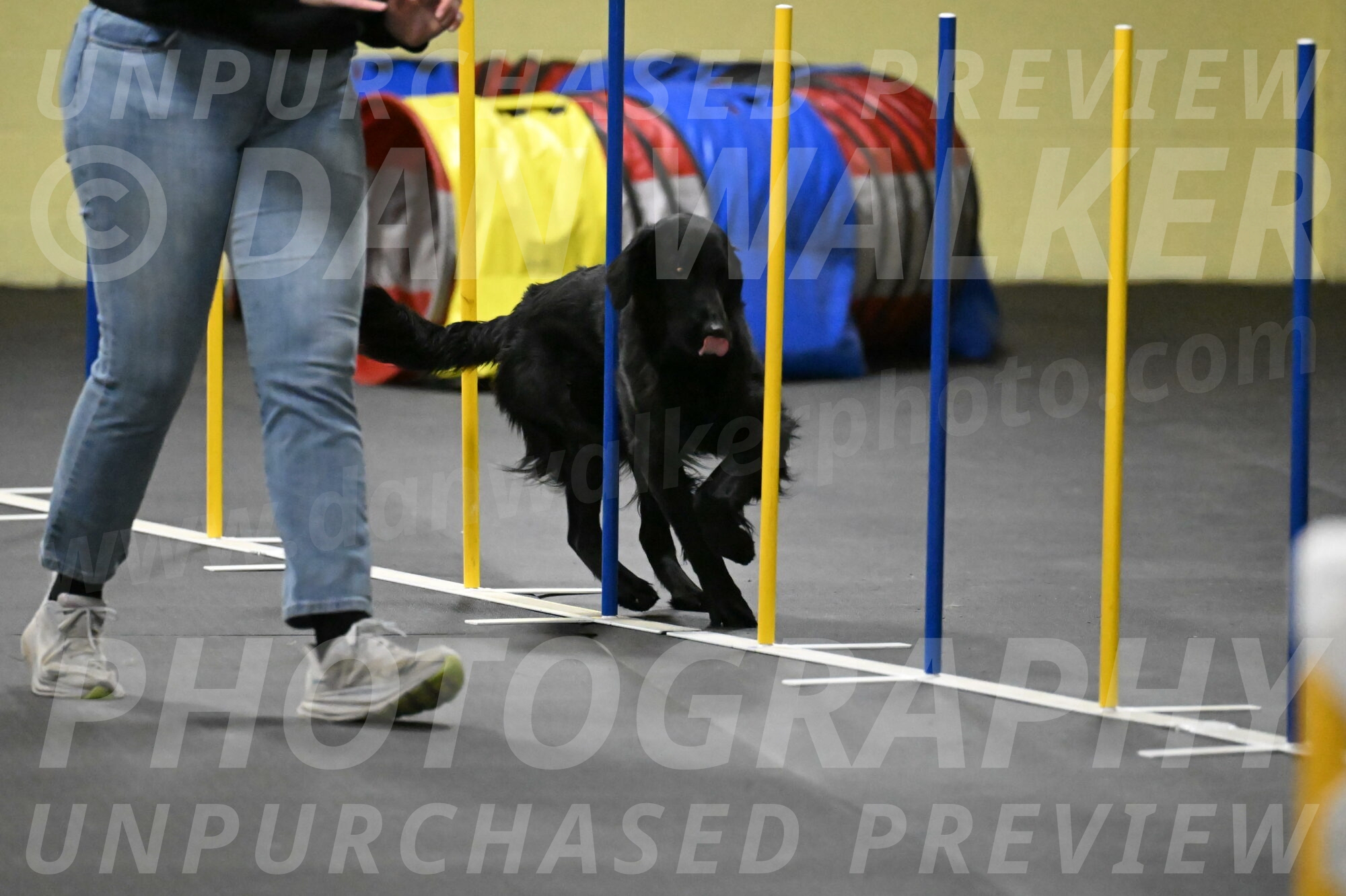 Apollo-Everhart-06964