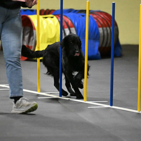 Apollo-Everhart-06964