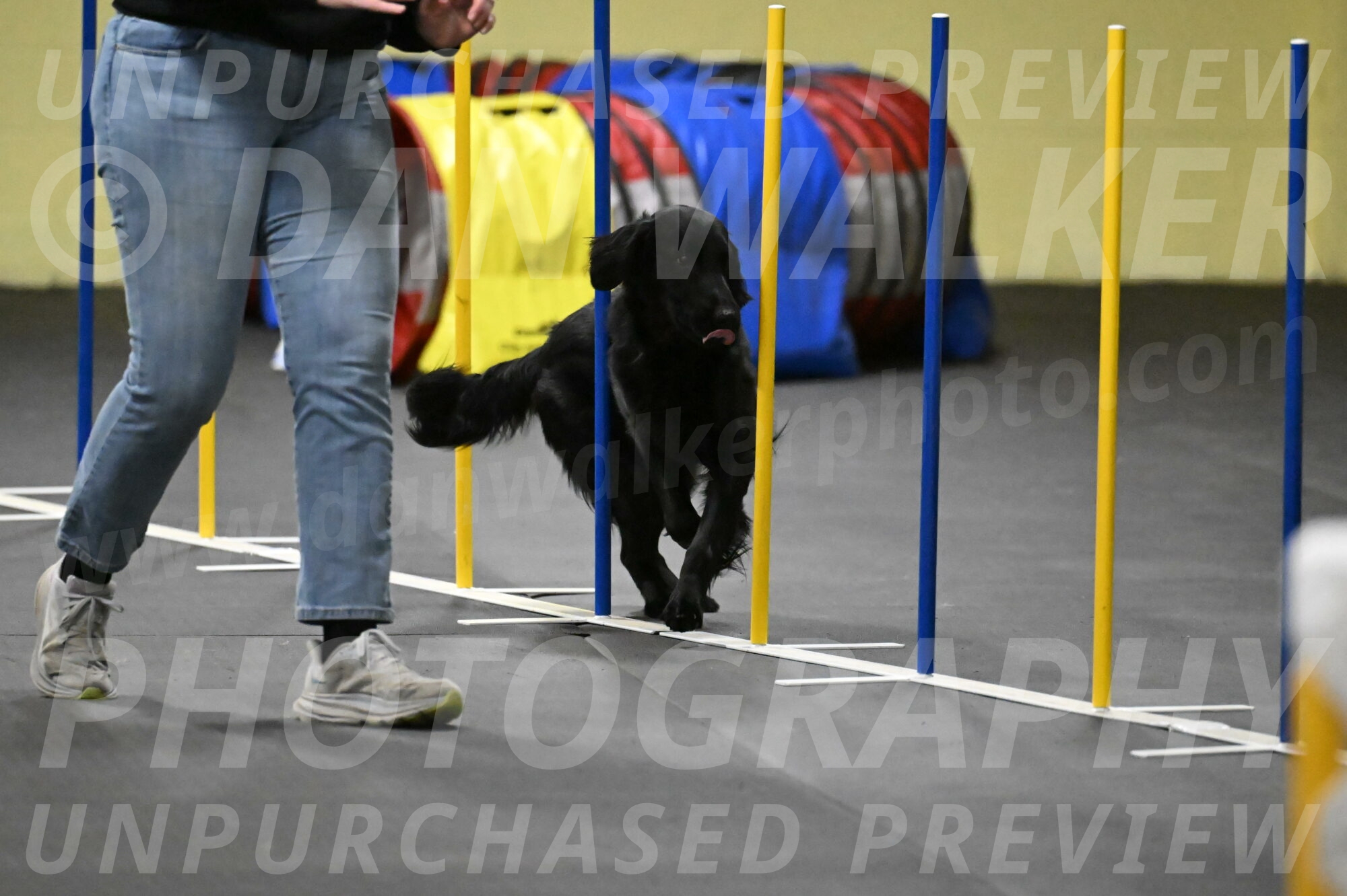 Apollo-Everhart-06965