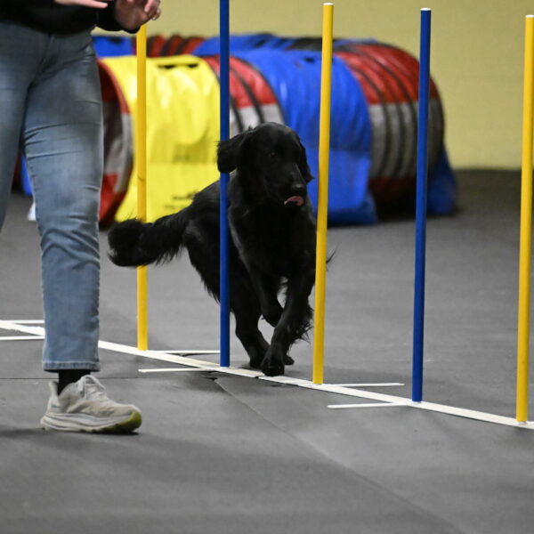 Apollo-Everhart-06965