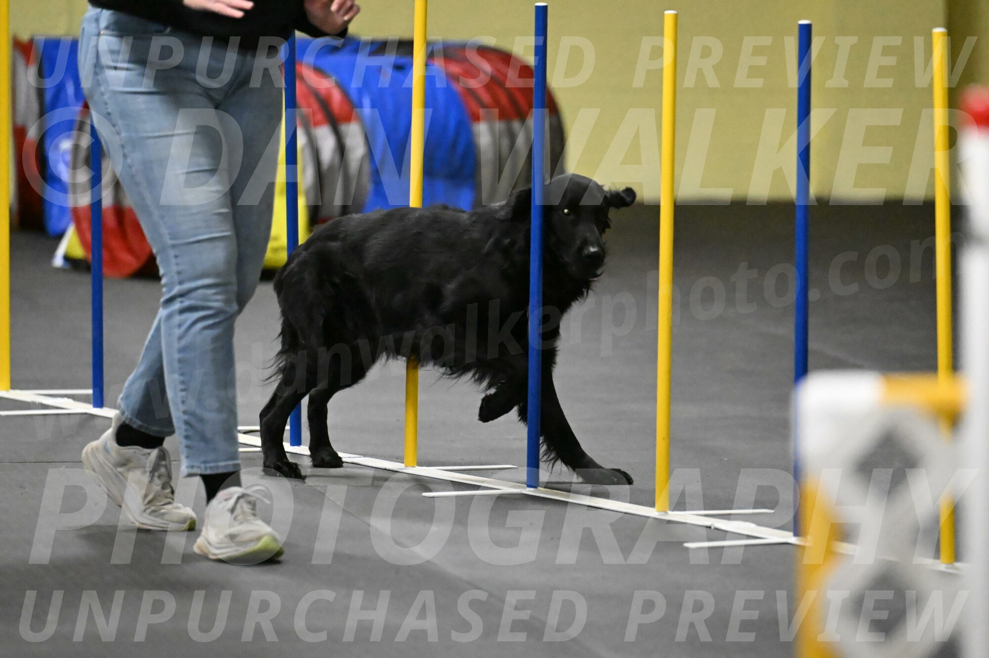 Apollo-Everhart-06971