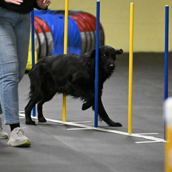 Apollo-Everhart-06971