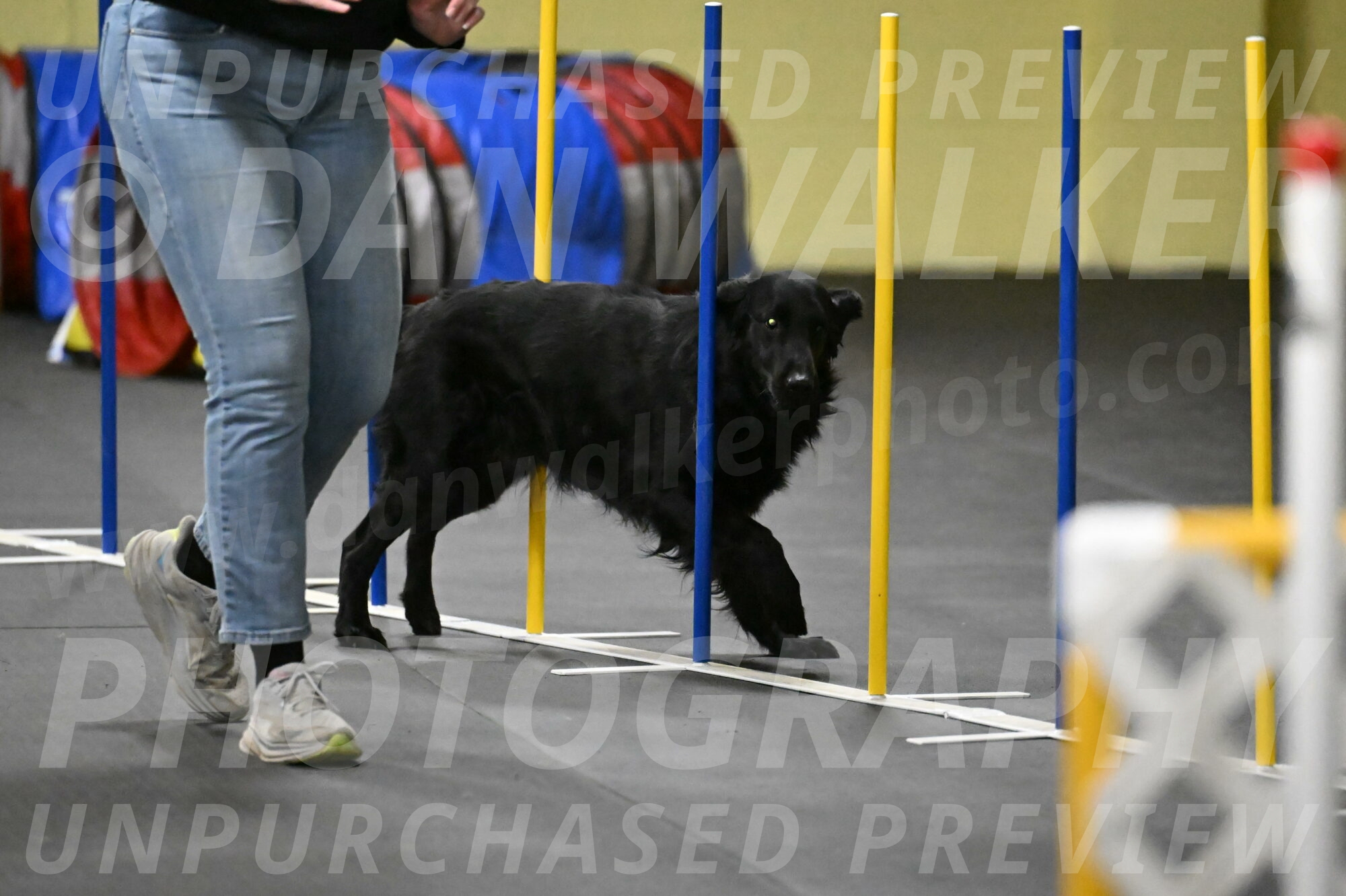 Apollo-Everhart-06972