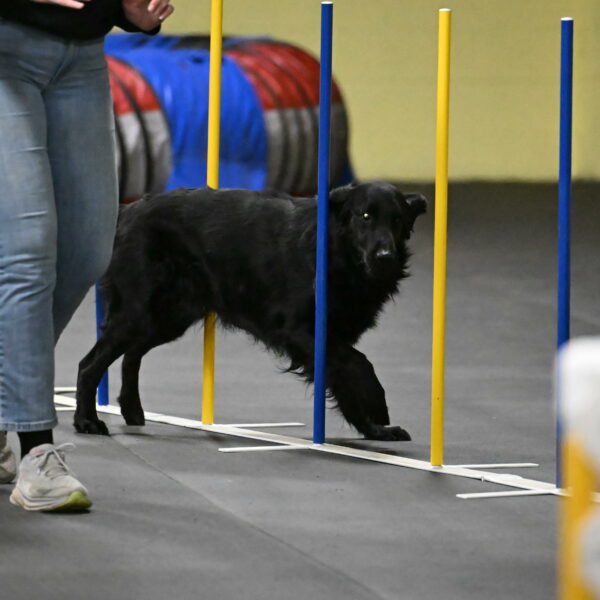 Apollo-Everhart-06972