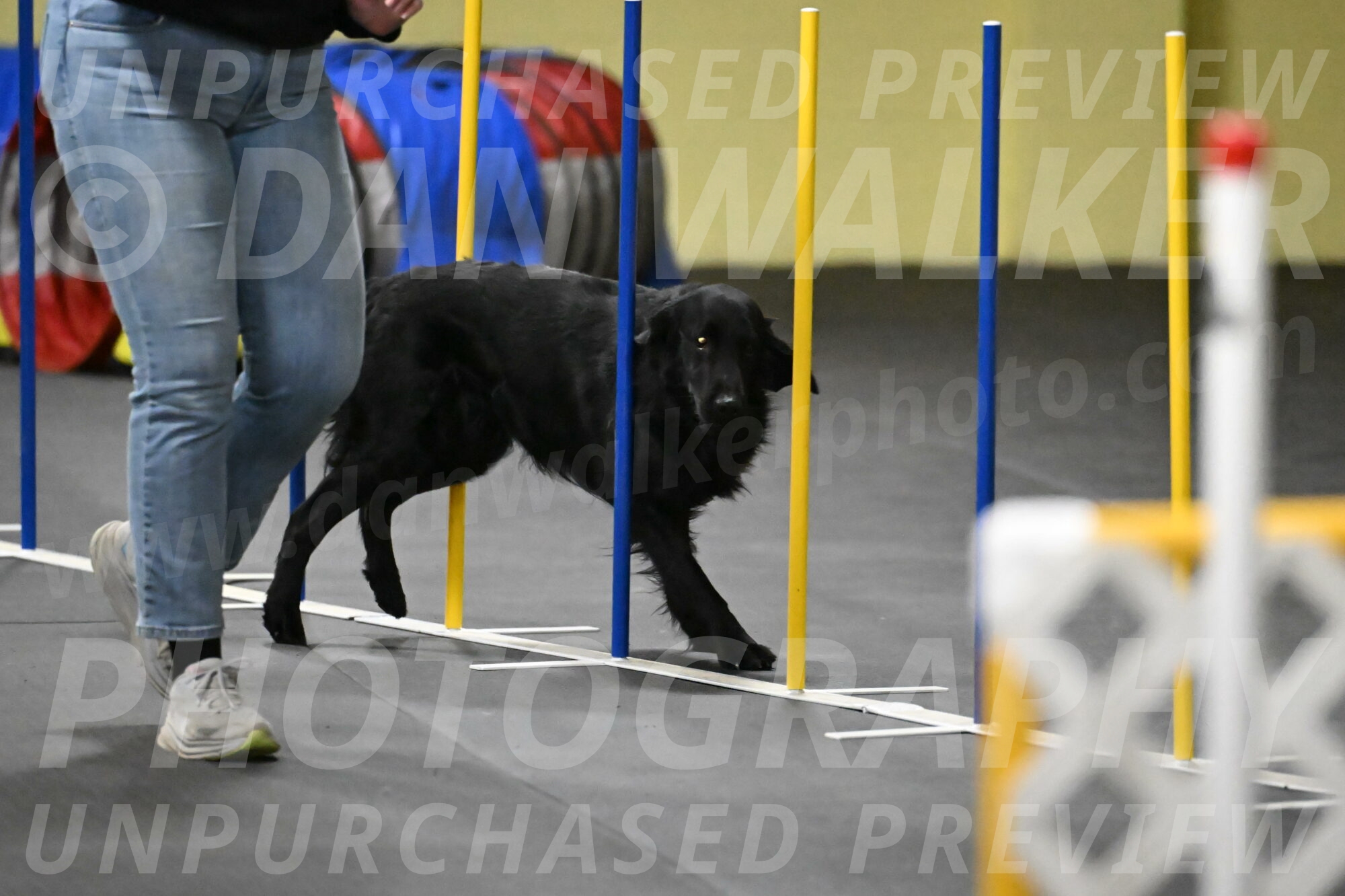 Apollo-Everhart-06973