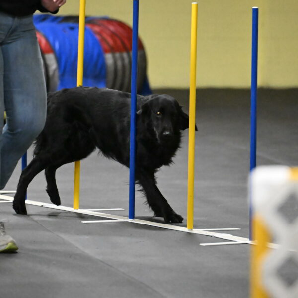 Apollo-Everhart-06973