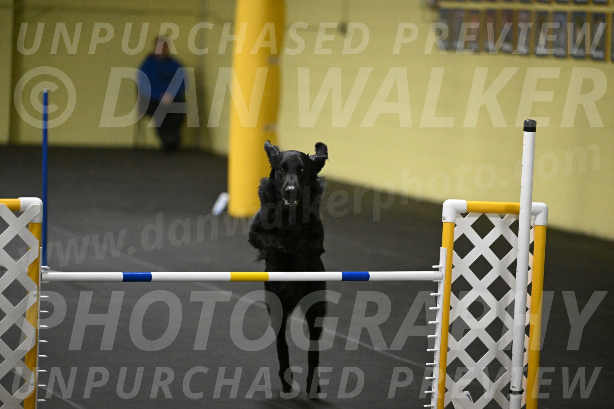 Apollo-Everhart-06978