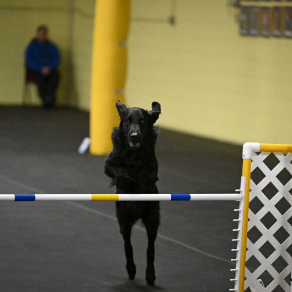 Apollo-Everhart-06978