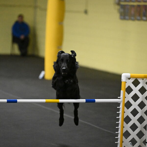 Apollo-Everhart-06979