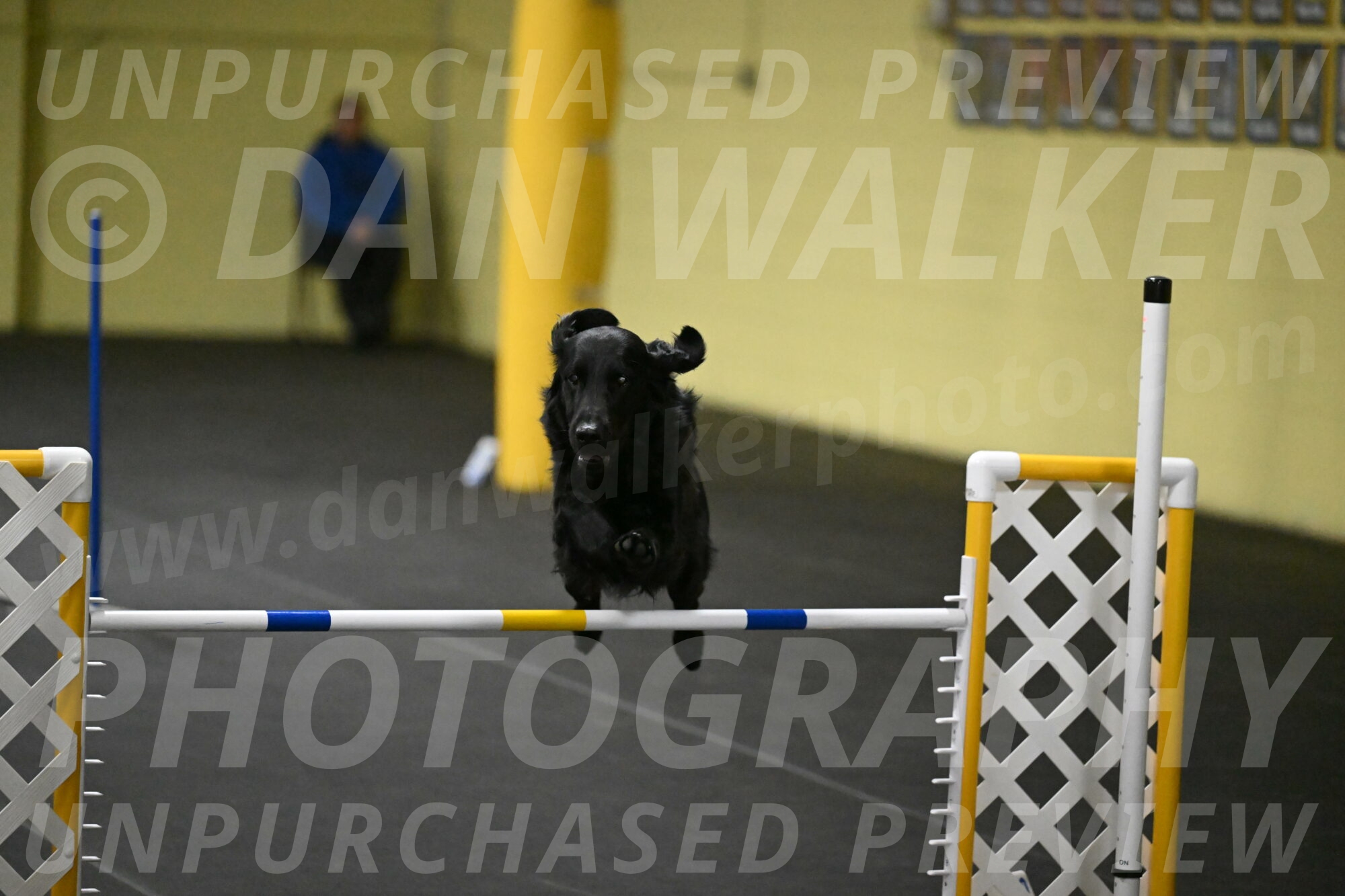 Apollo-Everhart-06980