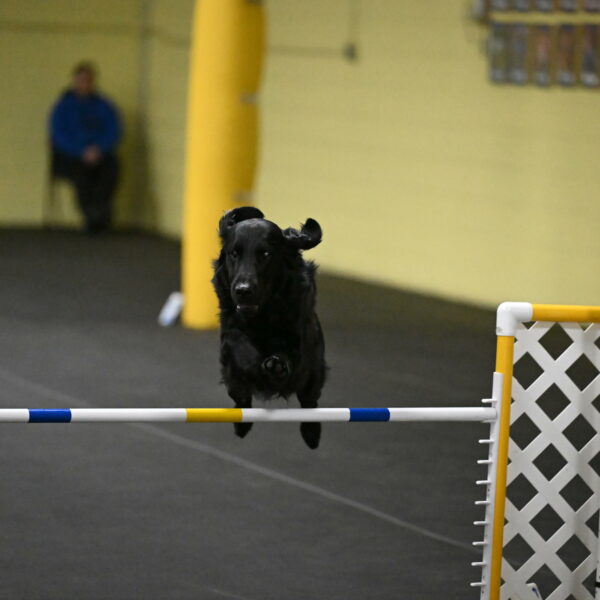 Apollo-Everhart-06980