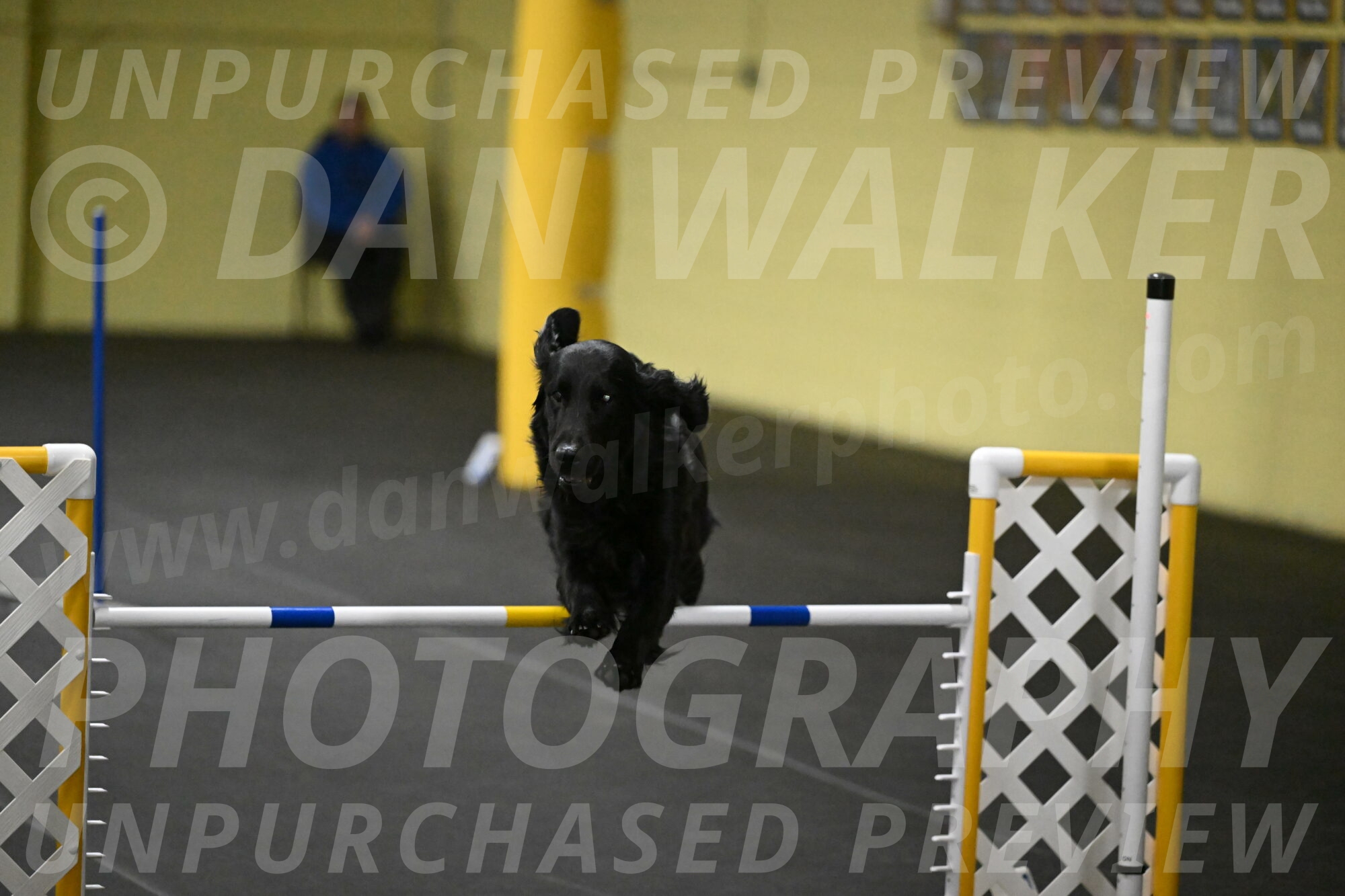 Apollo-Everhart-06981