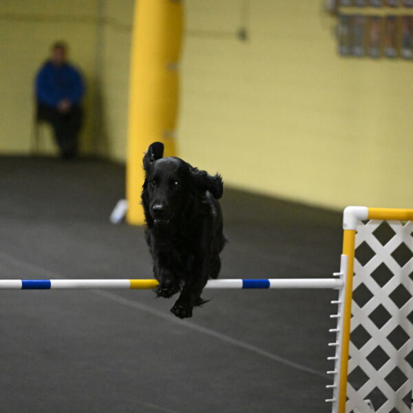 Apollo-Everhart-06981