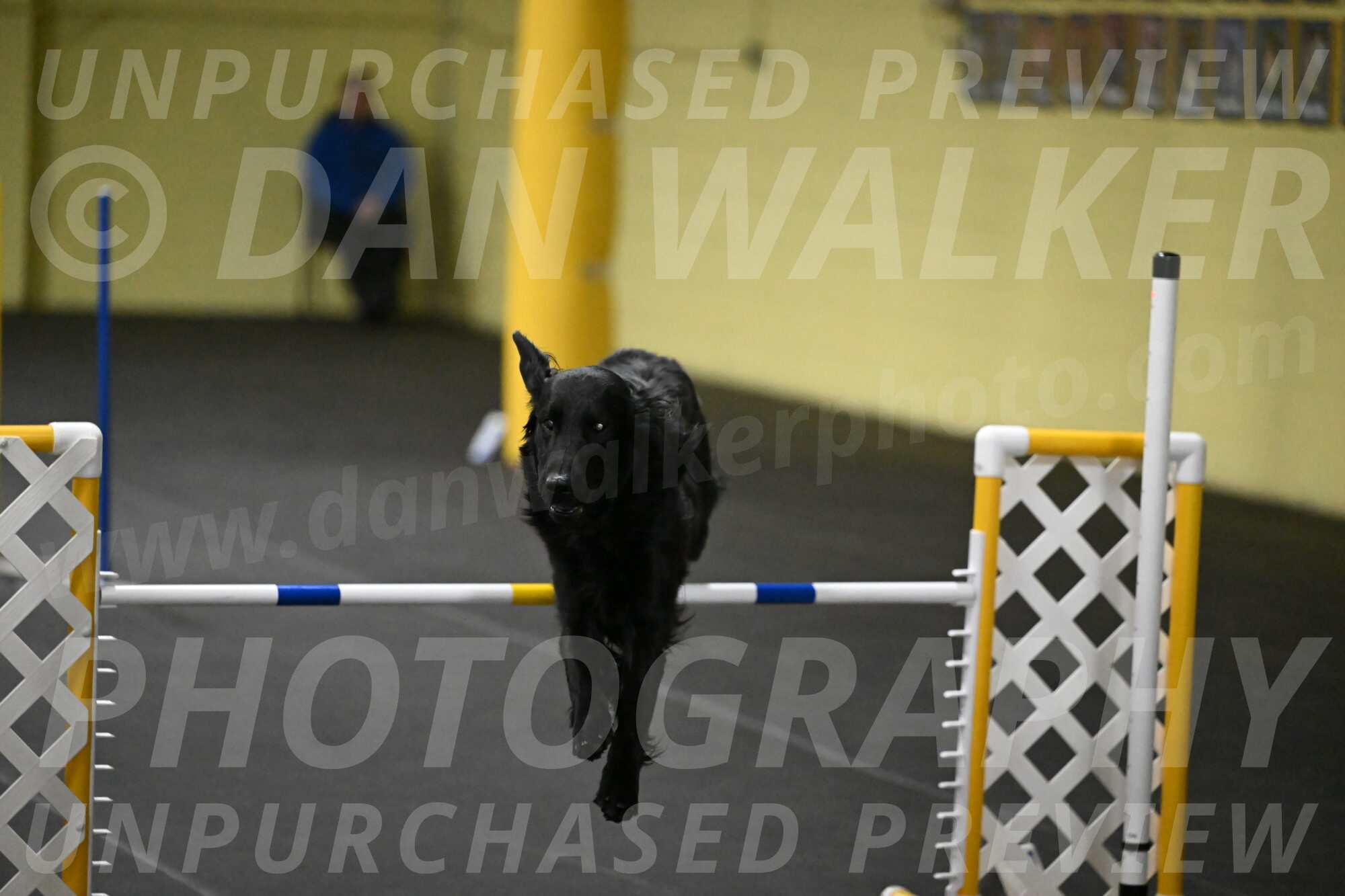 Apollo-Everhart-06982