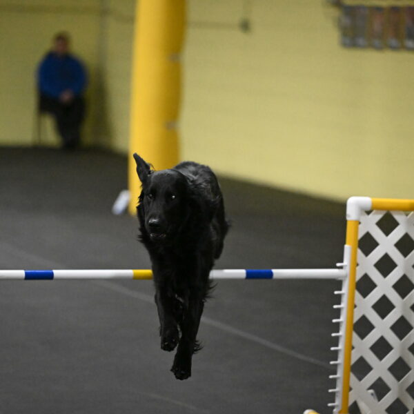 Apollo-Everhart-06982