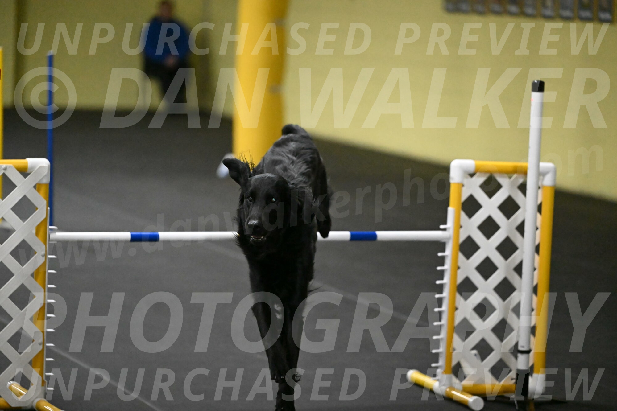 Apollo-Everhart-06983