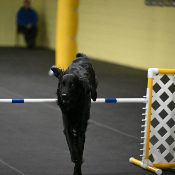 Apollo-Everhart-06983