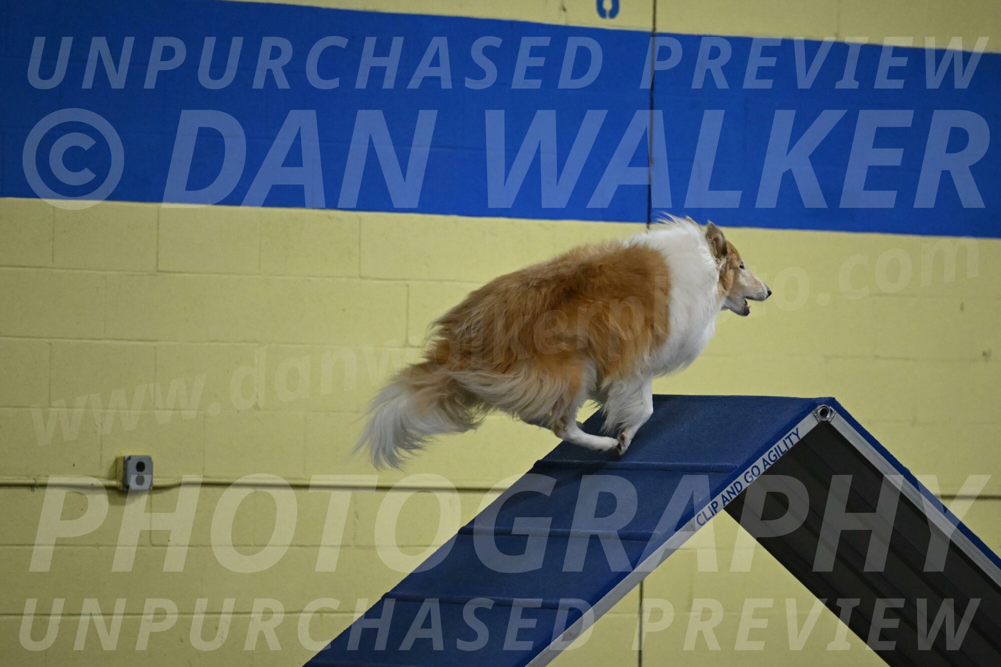 Attie-Schaffer-15091